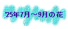 '25N7`9̉